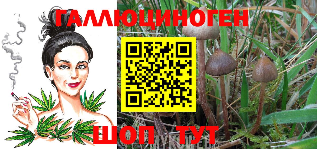 где найти наркотики  Псилоцибиновые грибы Cubensis  Галлюциногенные грибы Psilocybine cubensis  Вход с VPN  Кумертау 